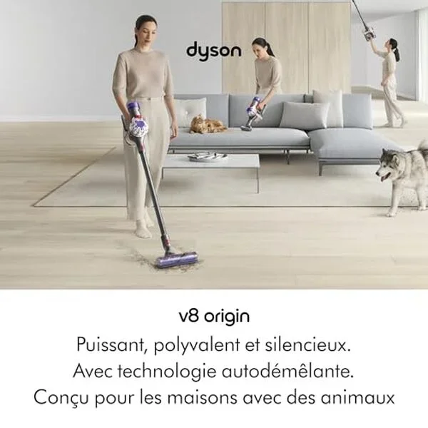 Огляд бездротового пилососа Dyson V8 Origin: потужність і автономність